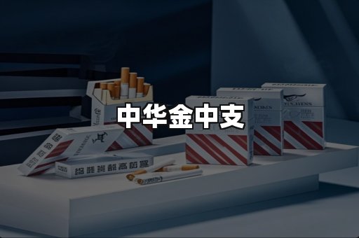 中华金中支