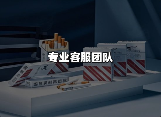 专业优势